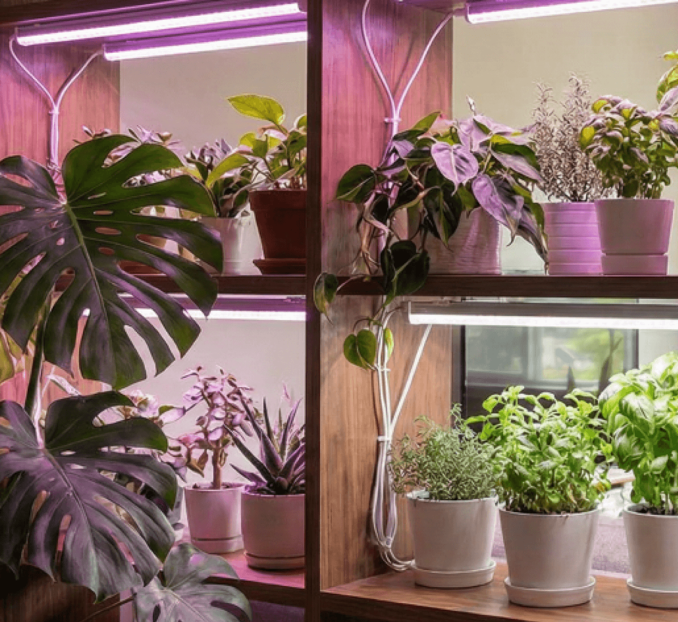 Новинки светильников для растений NEL-FITO уже на сайте!